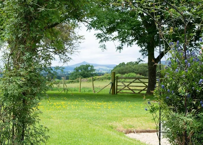 The Tractor Shed
