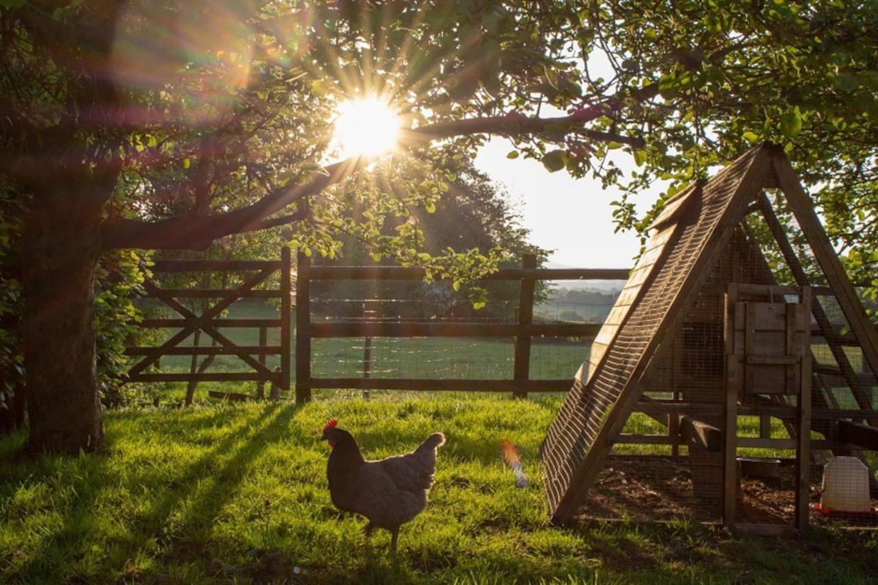 The Tractor Shed
